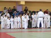 Thumbs/tn_IMG_3090g.jpg