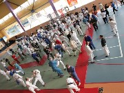 Thumbs/tn_IMG_3494g.jpg