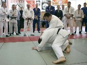 Thumbs/tn__P7G1916g.jpg