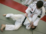 Thumbs/tn__P7G2055g.jpg