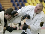 Thumbs/tn__P7G2410g.jpg
