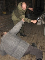 Thumbs/tn_067.jpg
