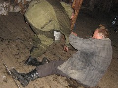 Thumbs/tn_071.jpg