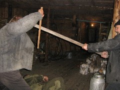 Thumbs/tn_085.jpg