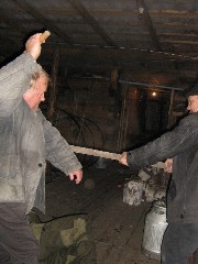 Thumbs/tn_087.jpg