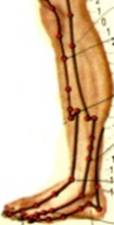 I:\РИСУНКИ\Glnstop_base\GLNOSTOP\новый-1.jpg
