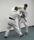 Thumbs/tn_074.jpg