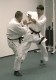 Thumbs/tn_107.jpg