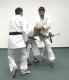 Thumbs/tn_129.jpg