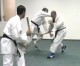 Thumbs/tn_132.jpg
