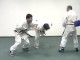 Thumbs/tn_136.jpg