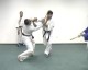 Thumbs/tn_138.jpg