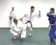 Thumbs/tn_139.jpg
