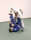 Thumbs/tn_206.jpg