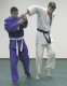 Thumbs/tn_233.jpg