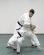 Thumbs/tn_248.jpg