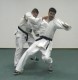 Thumbs/tn_254.jpg