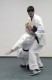 Thumbs/tn_268.jpg