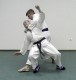 Thumbs/tn_271.jpg